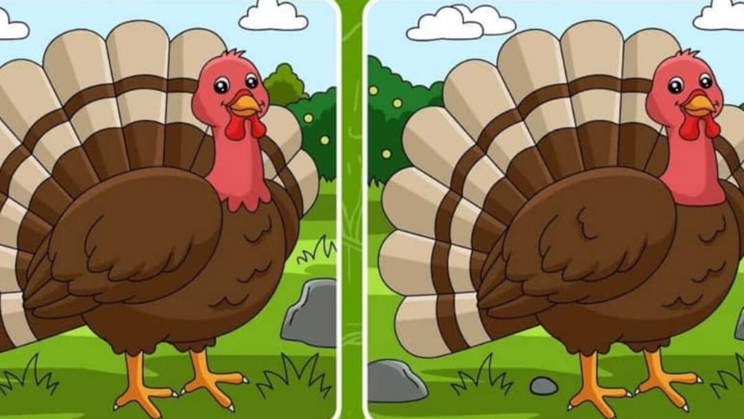  Descoperă cele 3 diferențe între imagini! Doar cei cu inteligență excepțională reușesc în mai puțin de 10 secunde!