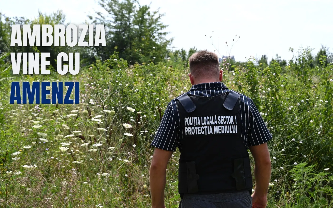 Controale pentru ambrozie în Sectorul 1: 720 de sancțiuni până în iulie