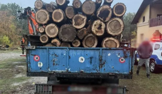 Călugăreni: reținere după 9 percheziții într-un dosar de braconaj