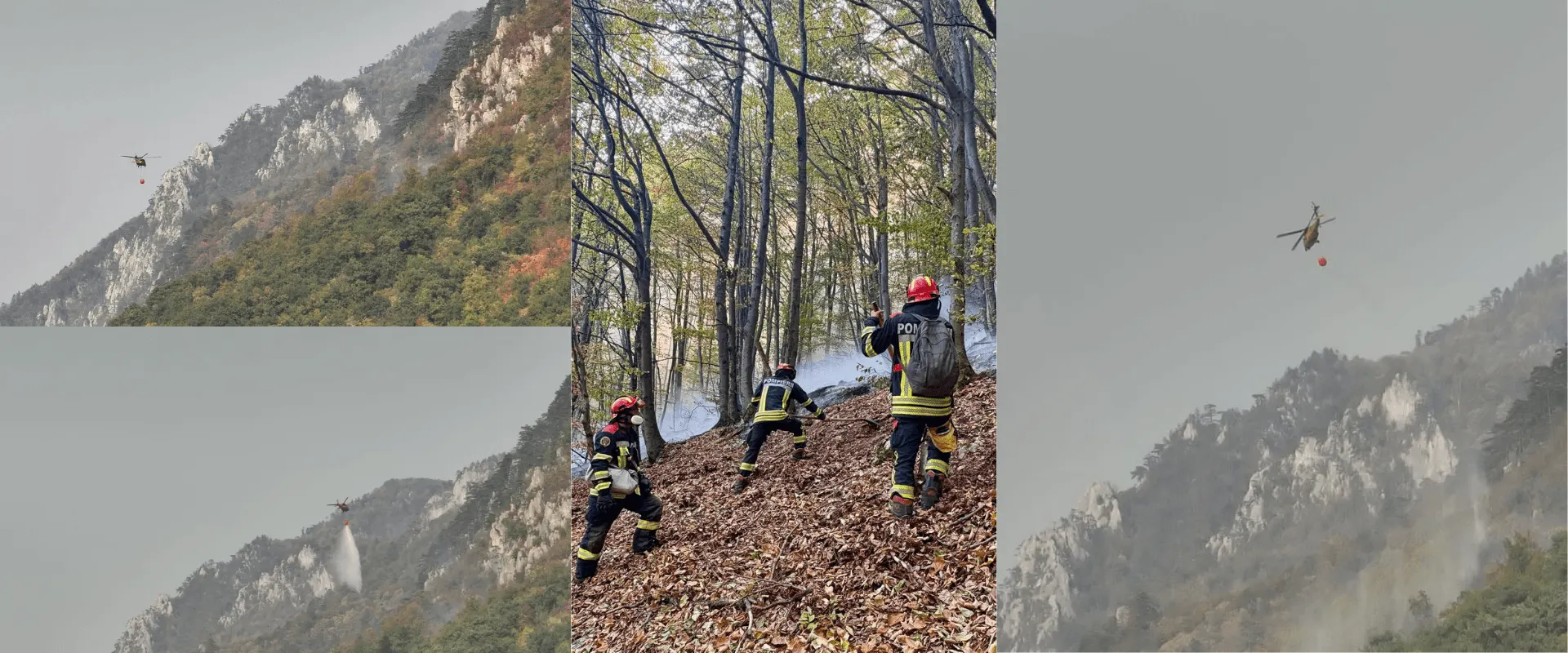 Domogled–Herculane: foc mocnit în litieră, forțele rămân pe teren