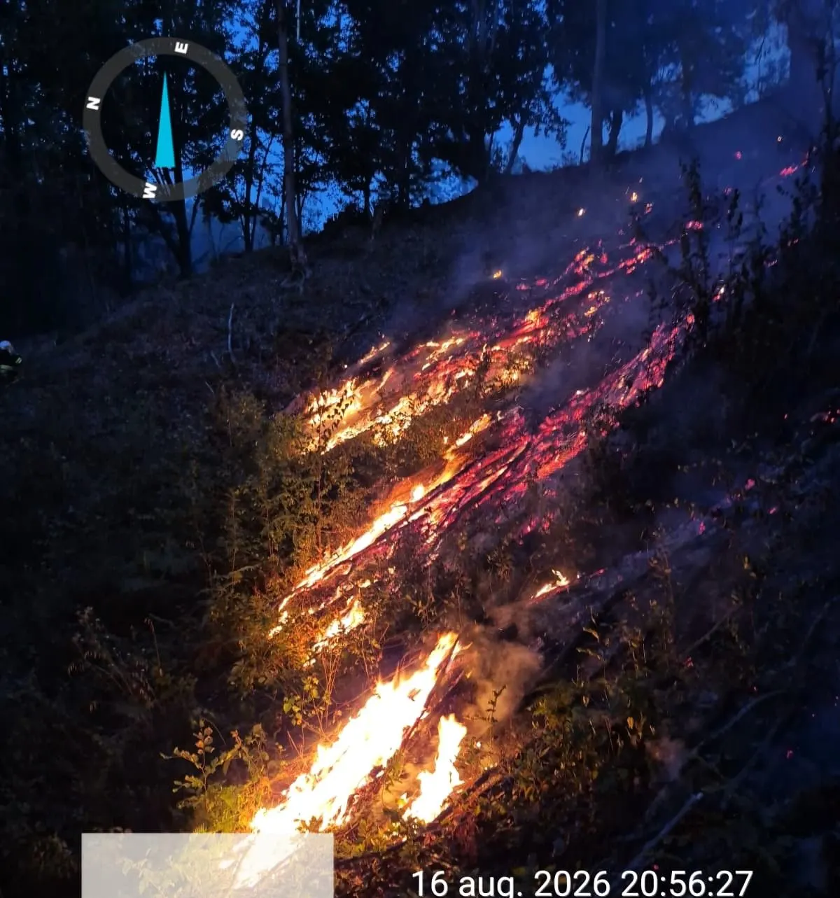 Făgetul, sub fum: 17 incendii de vegetație și peste 300 de hectare în Timiș