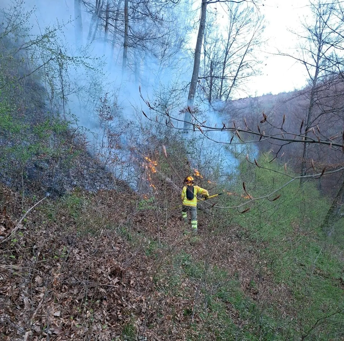 Pădurea din Tărcăița încă arde, după o zi cu 11 focuri de vegetație în Bihor