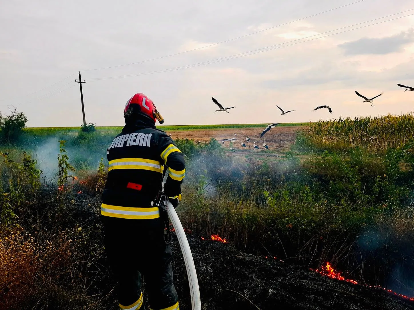 Giurgiu: șapte incendii de vegetație uscată în ultimele zile