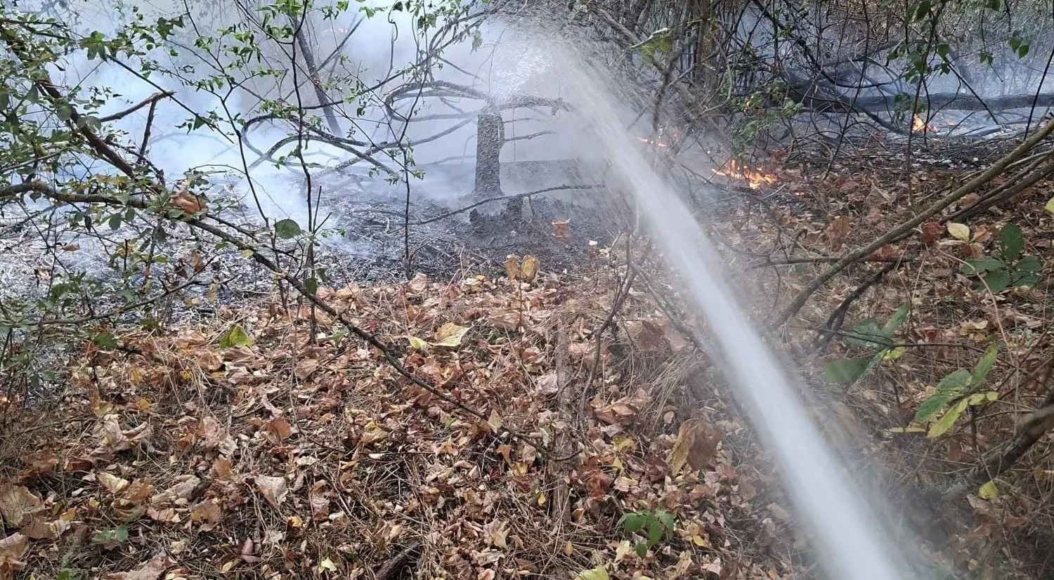 Hunedoara: foc la pădure și vegetație — intervine ISU