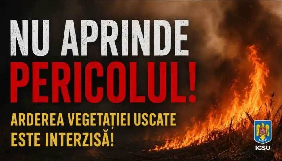 Incendiu forestier lângă Greci, ISU Delta