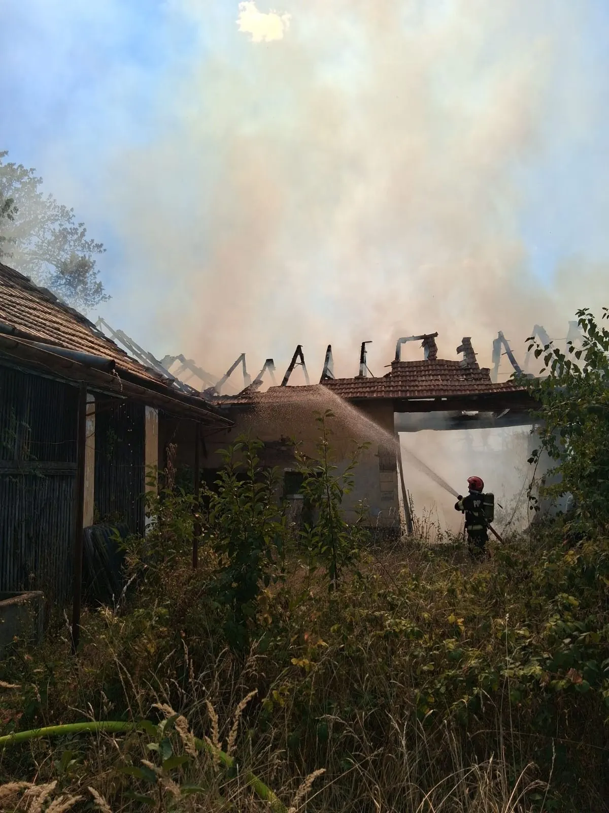 Incendiu la Urvind: anexe pe acoperiș, 35 pomi, fân ars