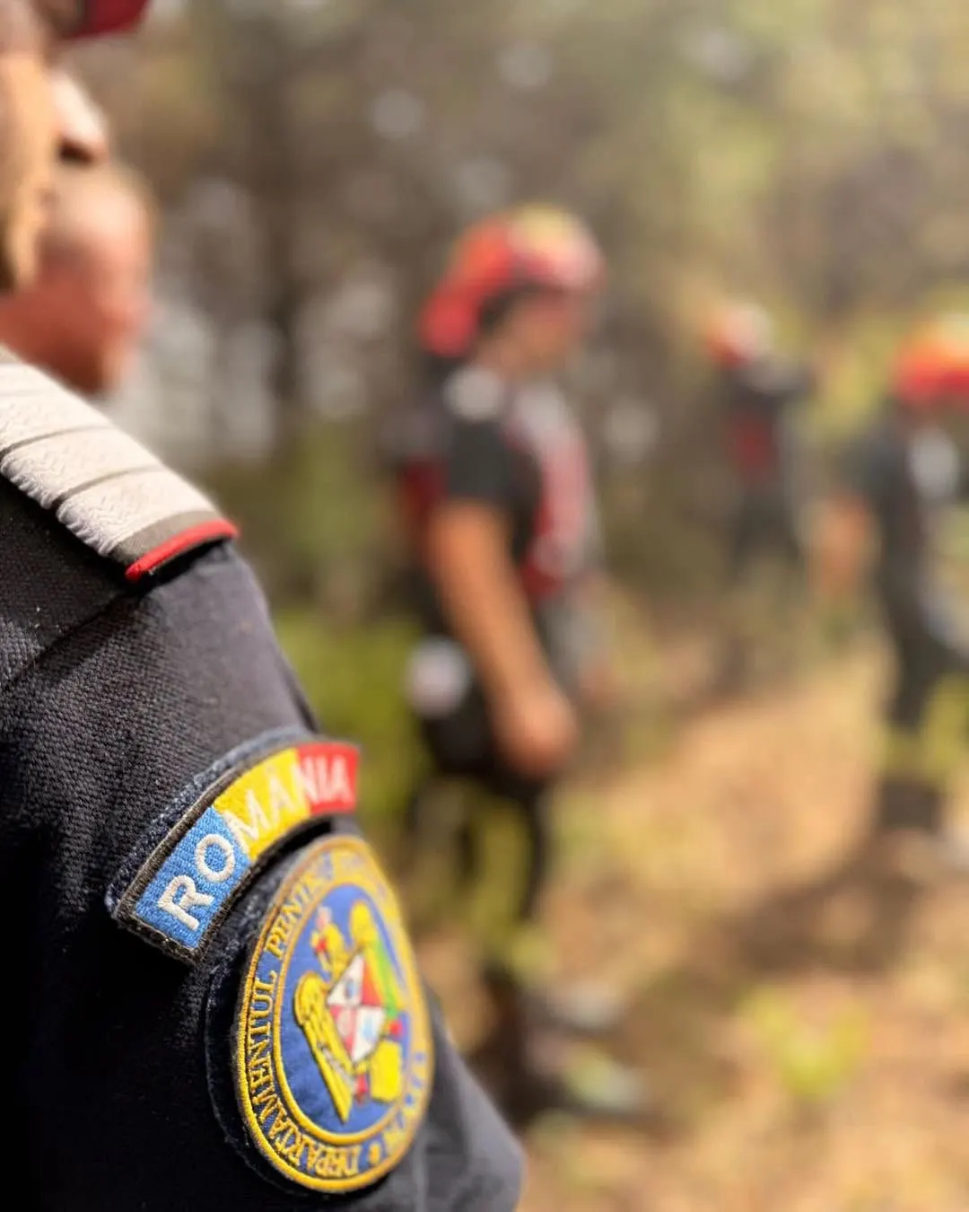 Românii continuă la Deliblato Sands: coridor de protecție în pădurea de conifere