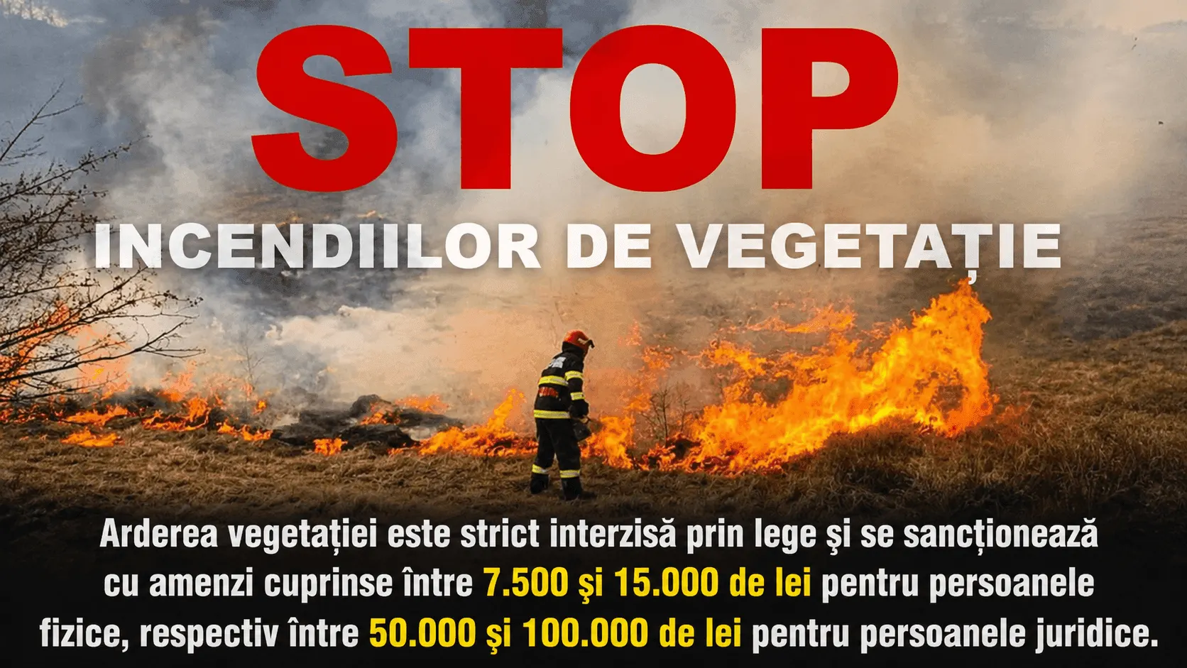 În Teleorman, 36 de incendii de vegetație uscată în doar trei zile