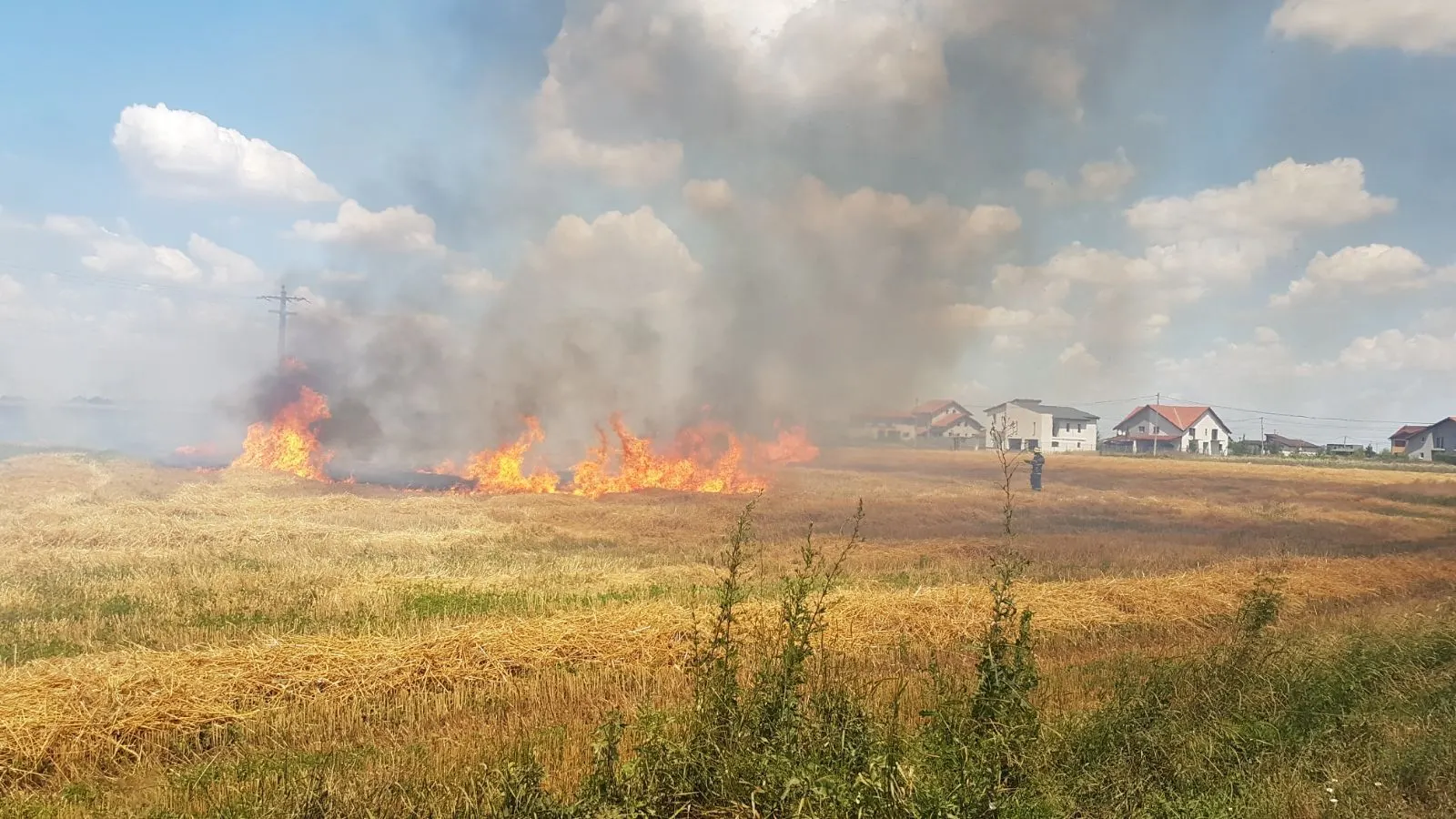 În Timiș, 23 de focuri de vegetație și amenzi de până la 15.000 lei