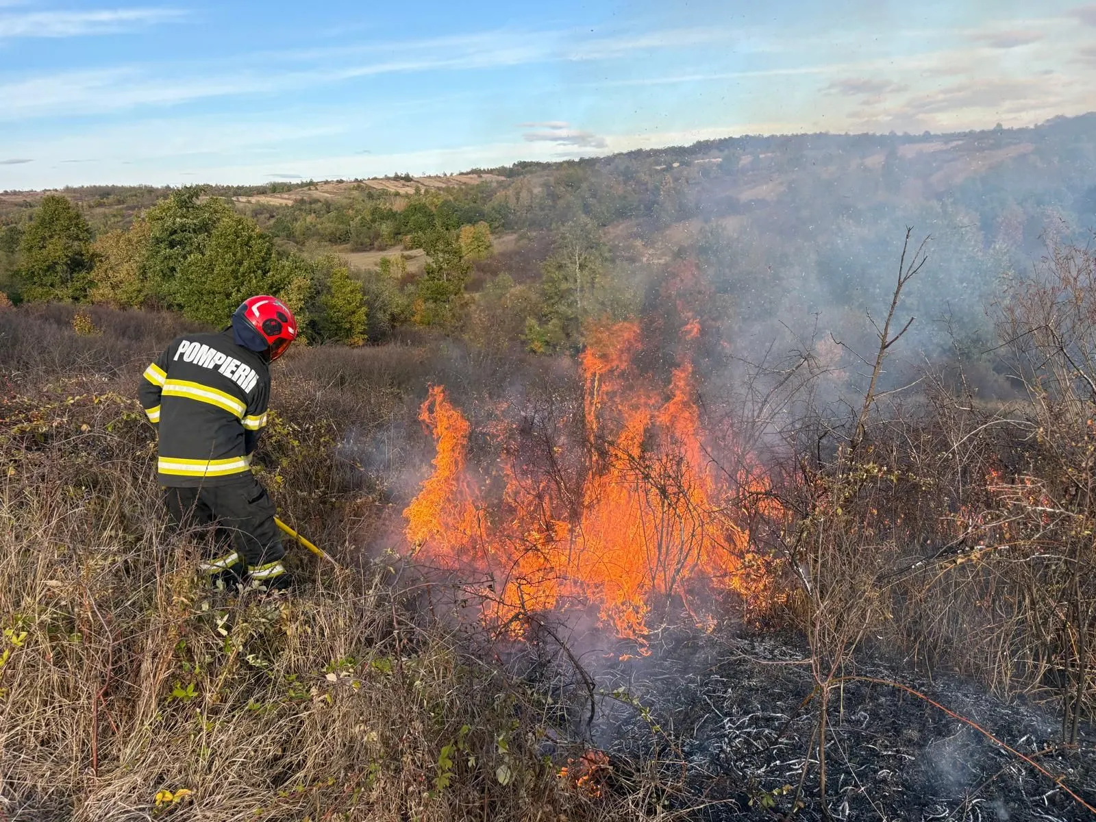 Timiș, vegetație uscată: cinci incendii și peste 50 de hectare