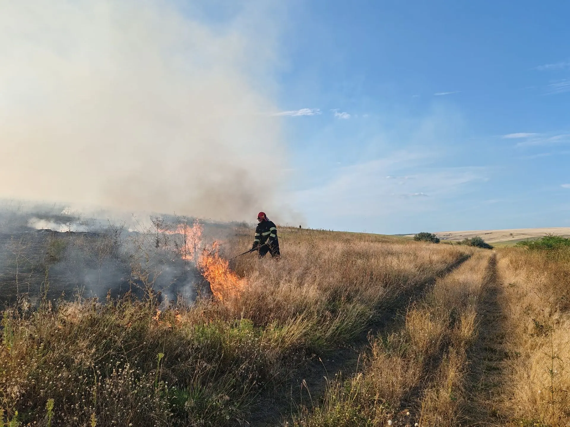 Vaslui, Bogdănești: peste 70 ha arse pe câmp, seara de 30 august